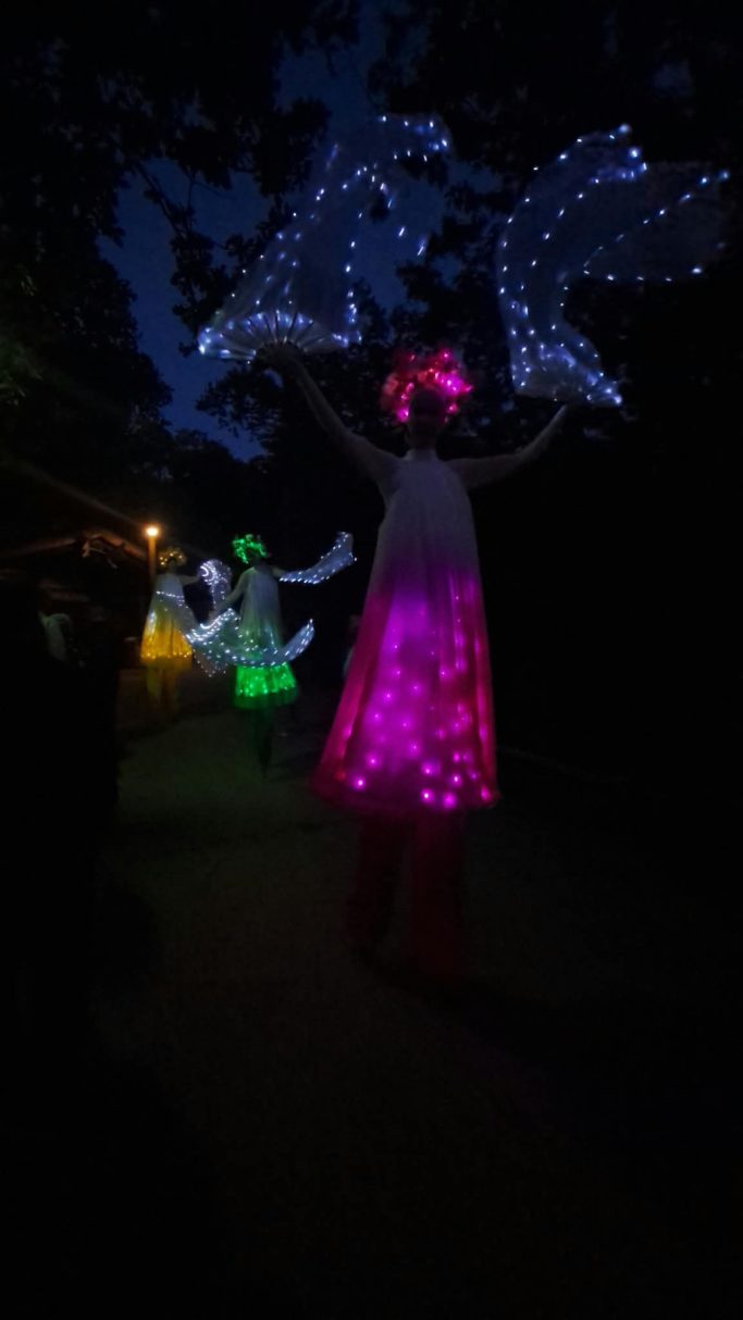 LED Stelzenwalkact