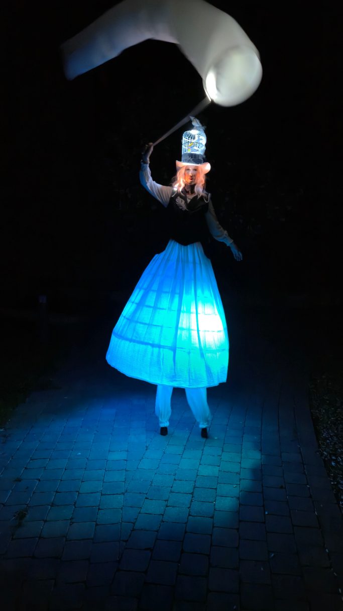 Licht und LED Performance Künstler