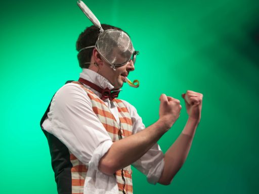Comedy Act als Fliege